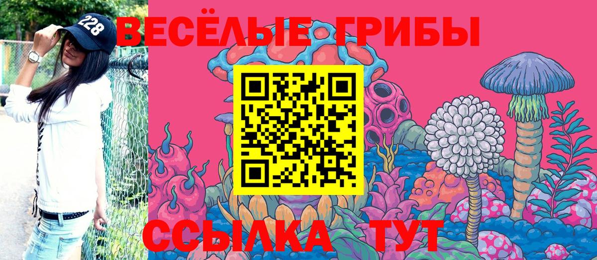 Гулькевичи  Галлюциногенные грибы Psilocybe  где купить   Вход с VPN 