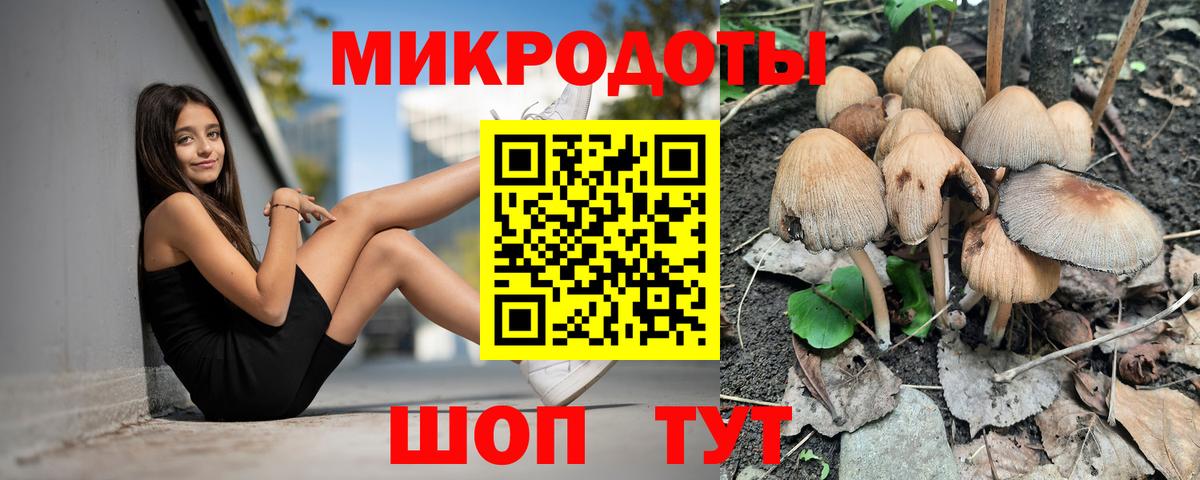 Псилоцибиновые грибы GOLDEN TEACHER Гулькевичи